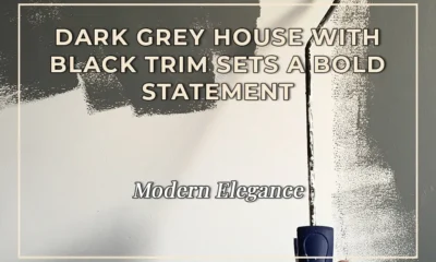 Modern Elegance: Dark Grey House with Black Trim Sets a Bold Statement