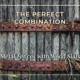 The Perfect Combination: Metal Fences with Wood Slats