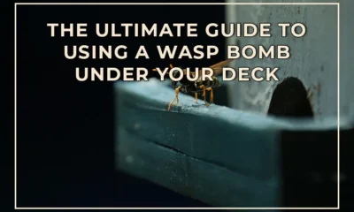 The Ultimate Guide to Using a Wasp Bomb Under Your Deck