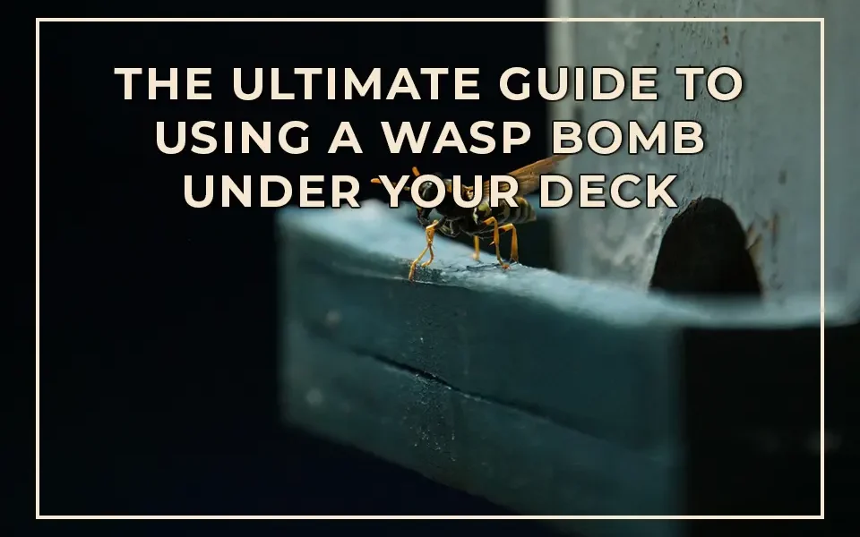 The Ultimate Guide to Using a Wasp Bomb Under Your Deck