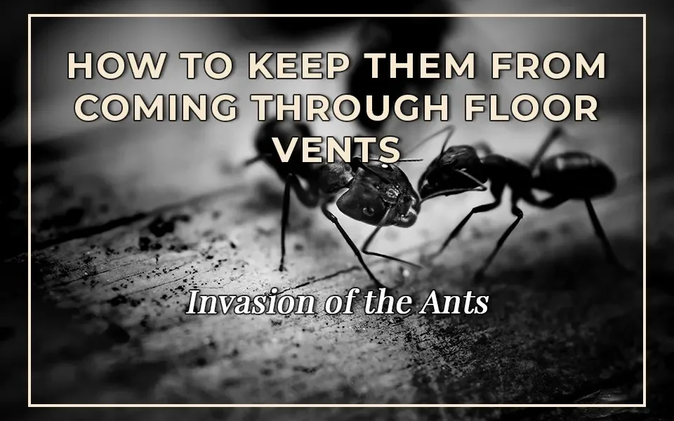 Invasion of the Ants: How to Keep Them from Coming Through Floor Vents