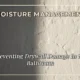 Moisture Management: Preventing Drywall Damage in the Bathroom