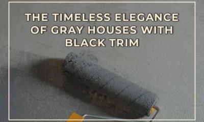 The Timeless Elegance of Gray Houses with Black Trim