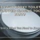 Is Your Korky Toilet Flapper Closing Too Fast? Here's What You Need to Know
