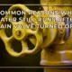 Common Reasons Why Water Still Runs After Main Valve Turned Off