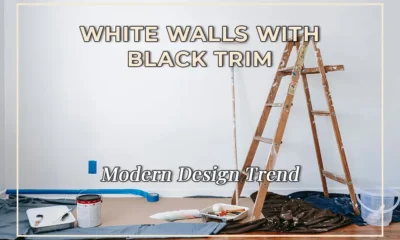 Modern Design Trend: White Walls with Black Trim