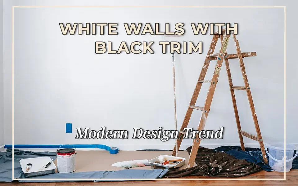 Modern Design Trend: White Walls with Black Trim