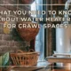 What You Need to Know About Water Heaters for Crawl Spaces