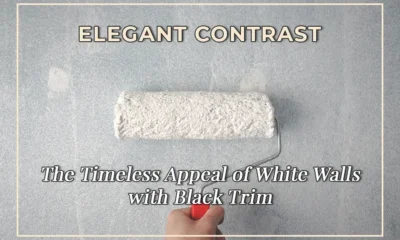 Elegant Contrast: The Timeless Appeal of White Walls with Black Trim