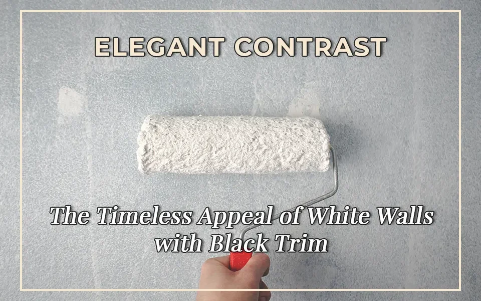 Elegant Contrast: The Timeless Appeal of White Walls with Black Trim