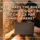 What Makes the Rheem Classic Super Quiet 80 a Top Choice for Homeowners?