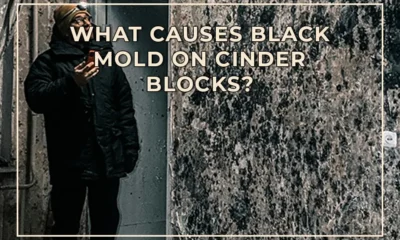 What Causes Black Mold on Cinder Blocks?