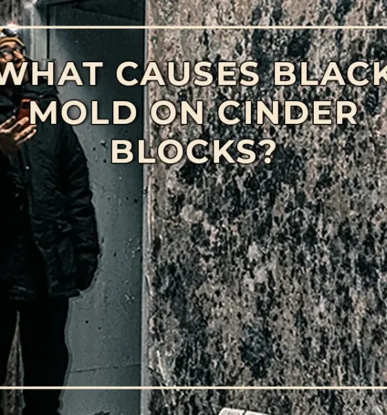 What Causes Black Mold on Cinder Blocks?