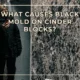 What Causes Black Mold on Cinder Blocks?
