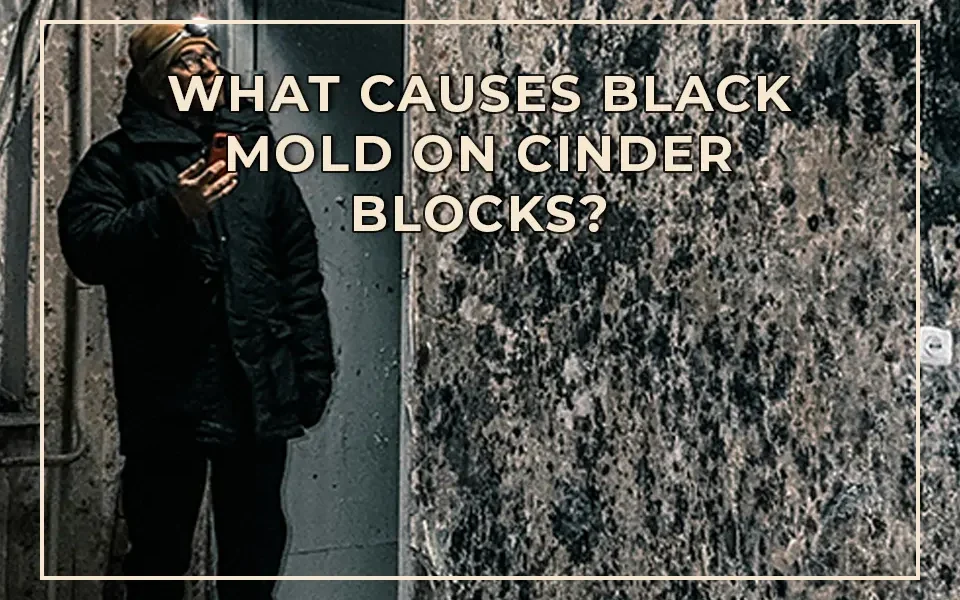 What Causes Black Mold on Cinder Blocks?