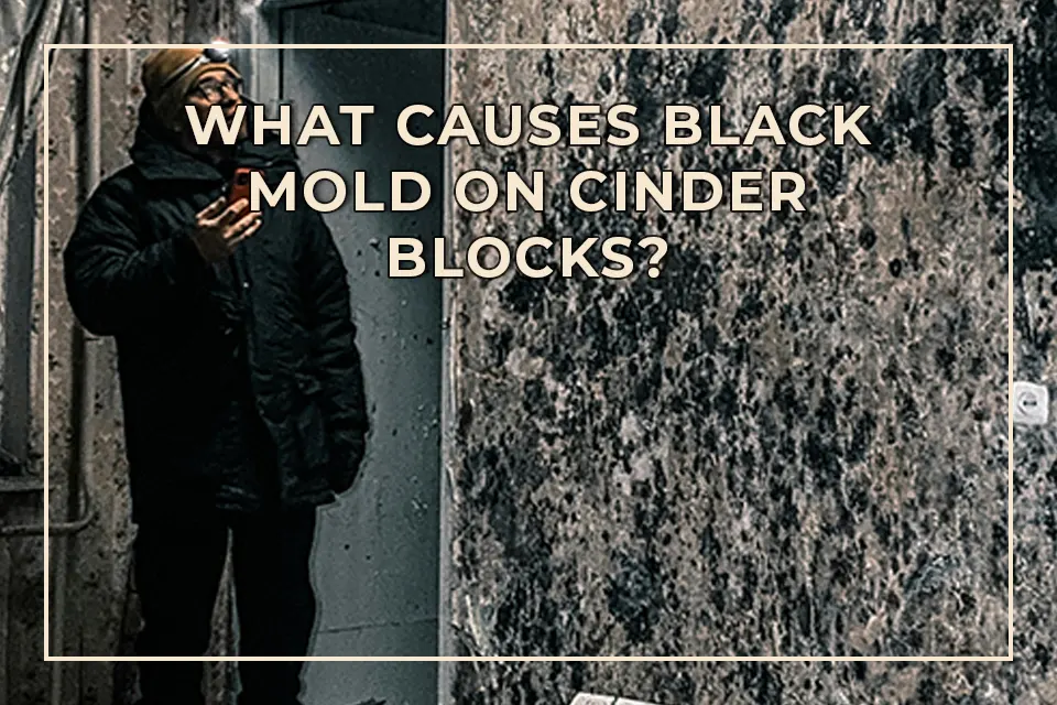 What Causes Black Mold on Cinder Blocks?